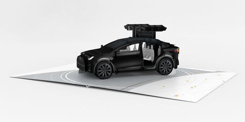 Model X - 7 seats